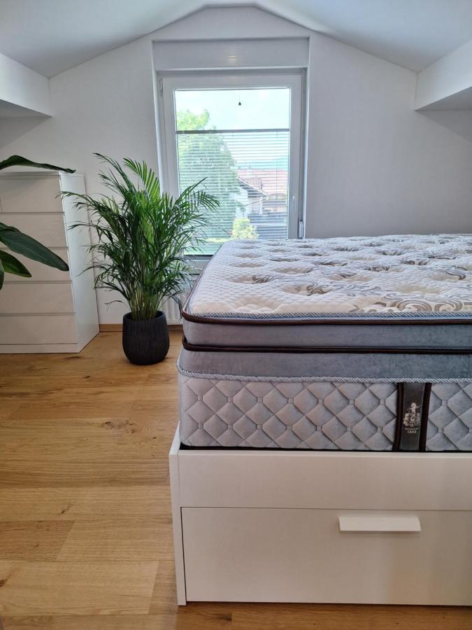 Guesthouse Flower Любляна Екстер'єр фото