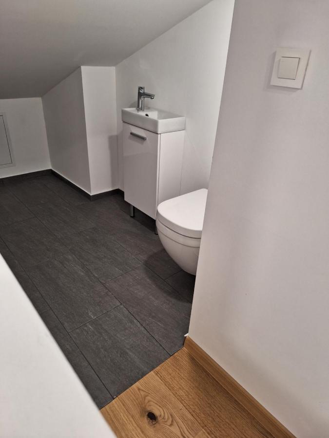 Guesthouse Flower Любляна Екстер'єр фото